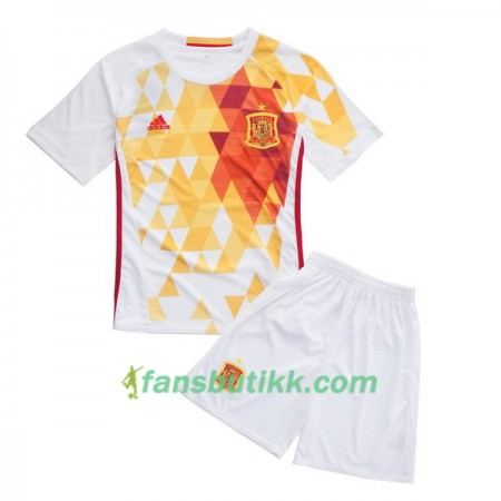 Fotballdrakt Spania Barn Hjemmetrøye Euro 2016
