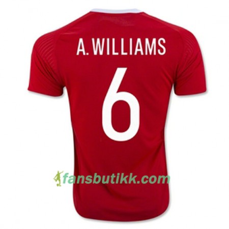 Fotballdrakt Wales A WILLIAMS Hjemmetrøye Euro 2016