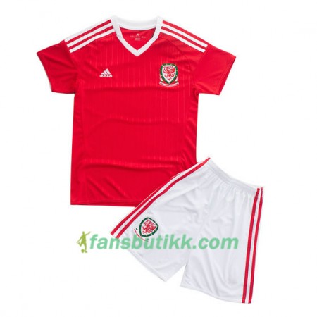Fotballdrakt Wales Barn Hjemmetrøye Euro 2016